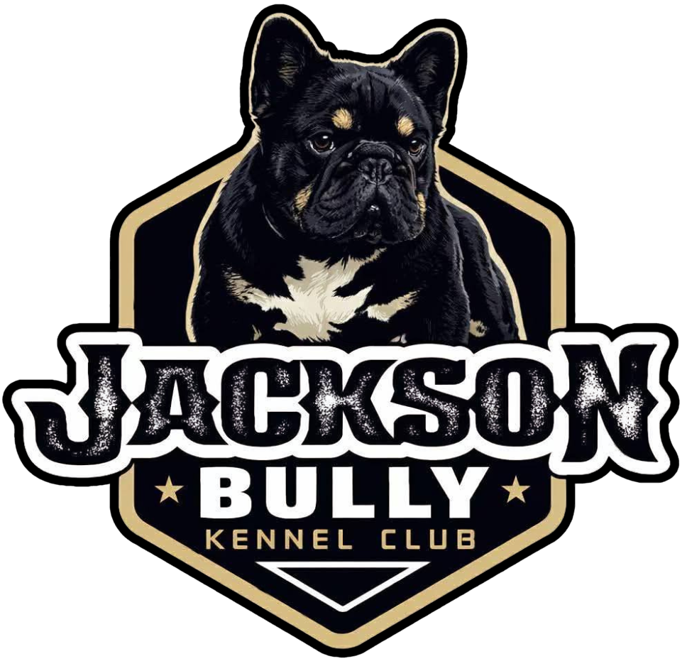 Jackson Bully Kennel Club